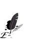 email2.gif